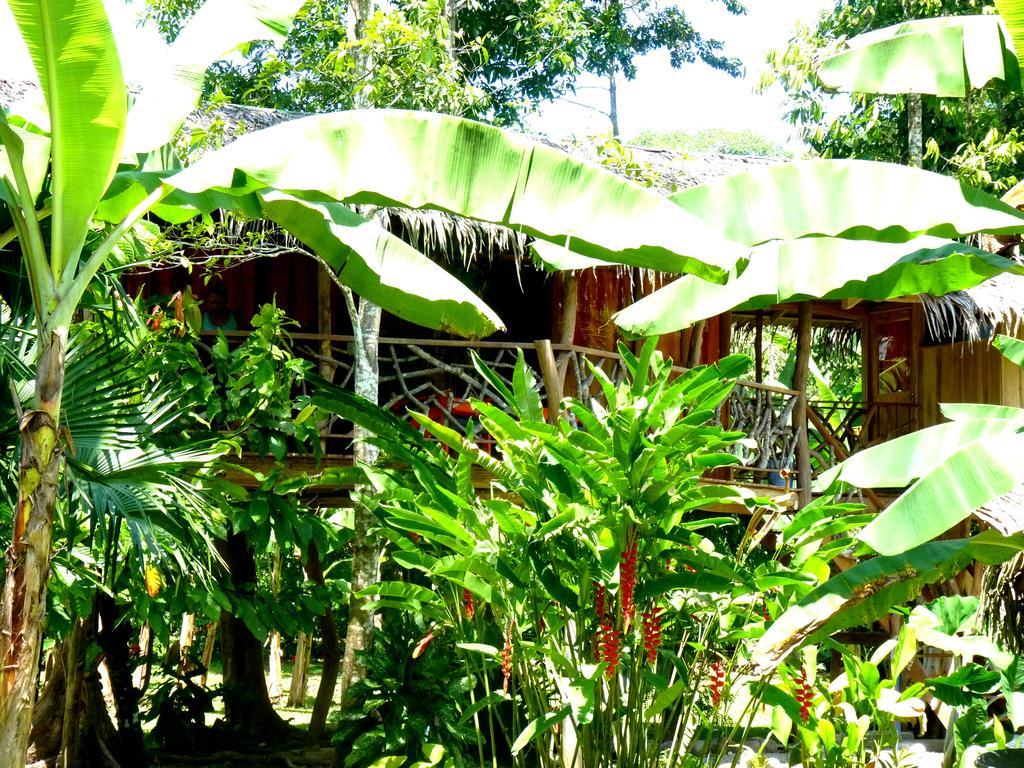 3 Bamboo Eco Lodge Cahuita Exteriér fotografie