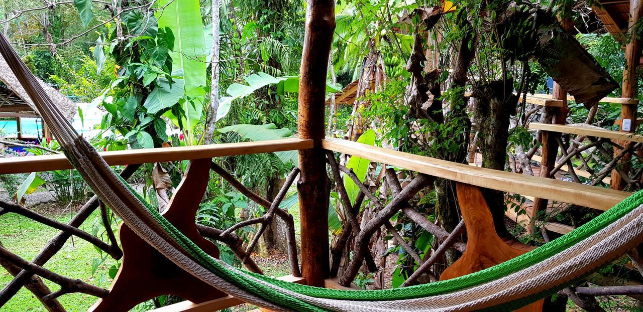 3 Bamboo Eco Lodge Cahuita Exteriér fotografie