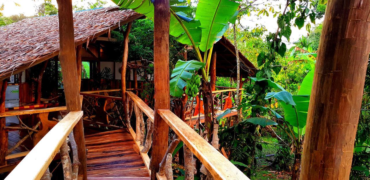 3 Bamboo Eco Lodge Cahuita Exteriér fotografie