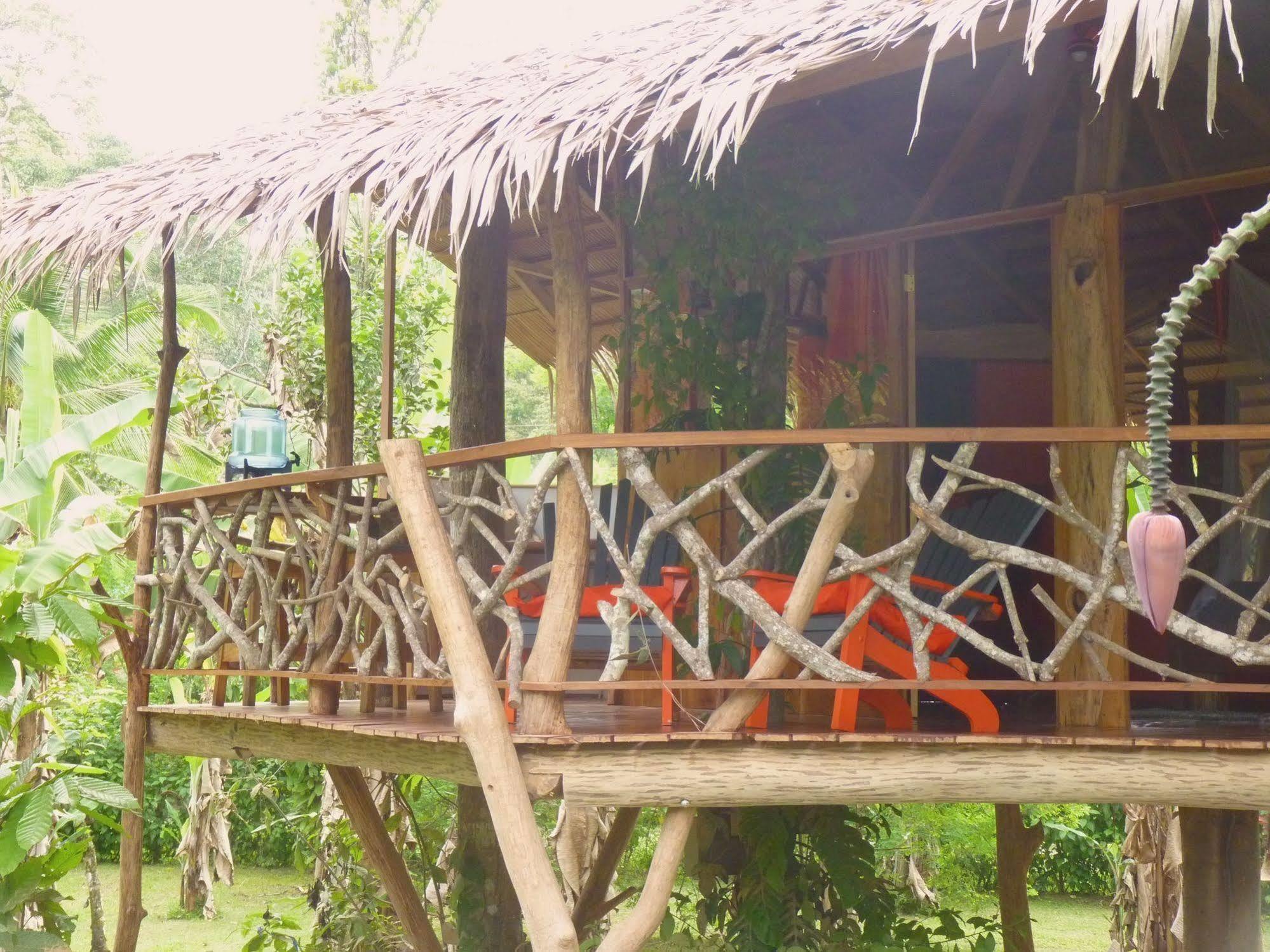 3 Bamboo Eco Lodge Cahuita Exteriér fotografie